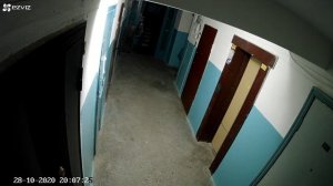 Ссыт в подъезде