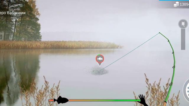 MFW первая рыба капля