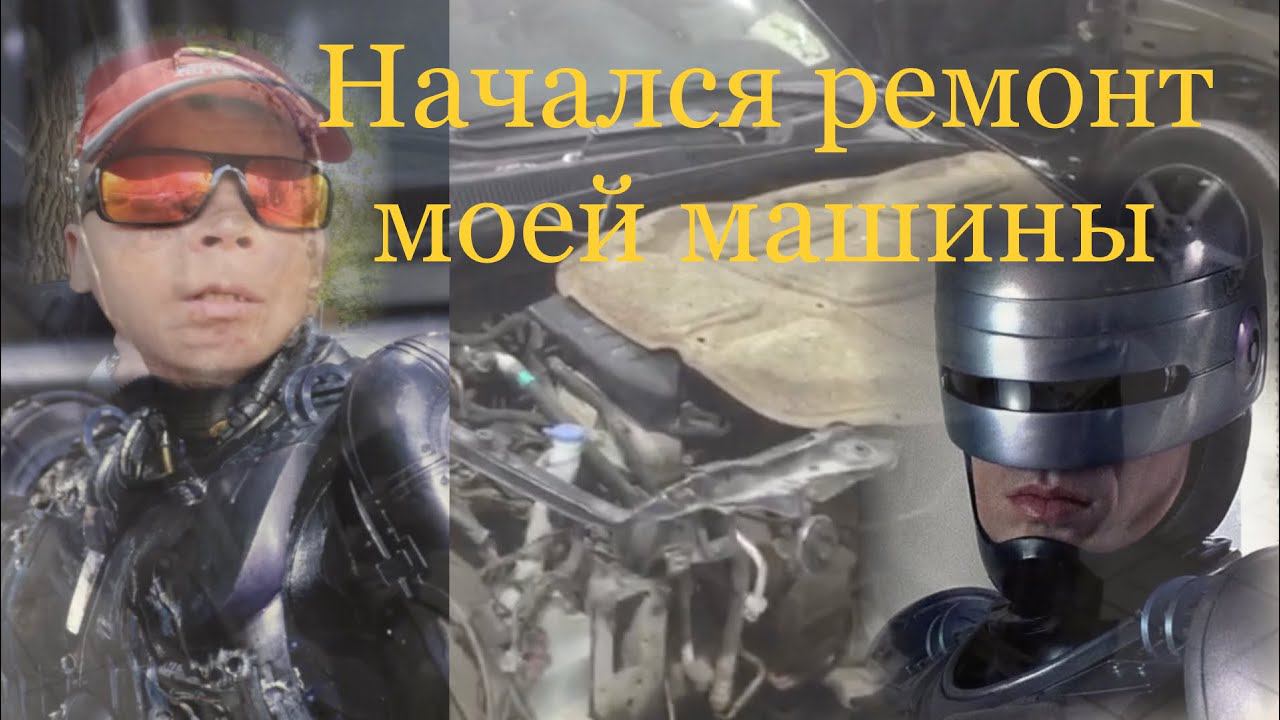 Пробежала БЕЛОЧКА,Новый РОБОКОП,нужен отдых смотреть онлайн