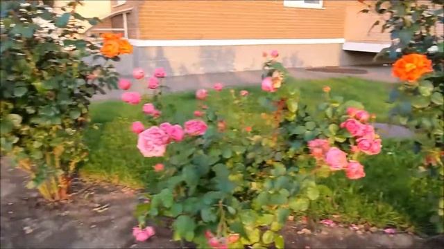 ЖК Лиговский в Краснодаре / ОБЗОР / Ход строительства / ИЮЛЬ 2021 смотреть онлайн