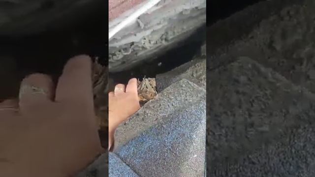 Гидроизоляция Теплоизоляция, покраска Алматы и область