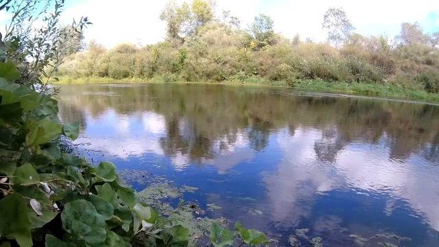 Рыбалка на крупную плотву +бонусы в начале сентября 2021. смотреть онлайн