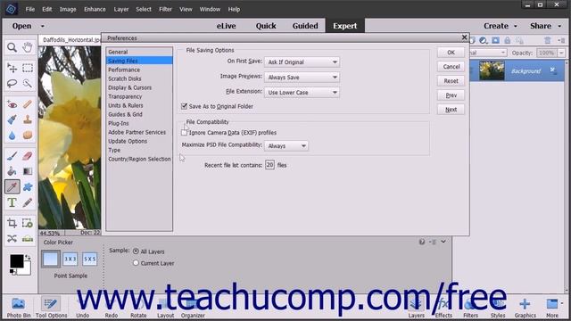 Photoshop Elements 15 Tutorial Setting Preferences Adobe Training смотреть онлайн