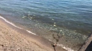 Абхазия 2022 пансионат Мандарин