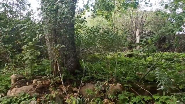 Деревня Югорманы .(клип) смотреть онлайн