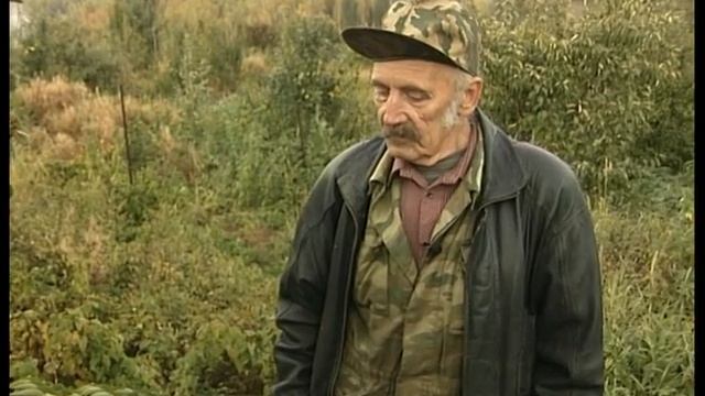 Аралия маньчжурская: описание и свойства смотреть онлайн