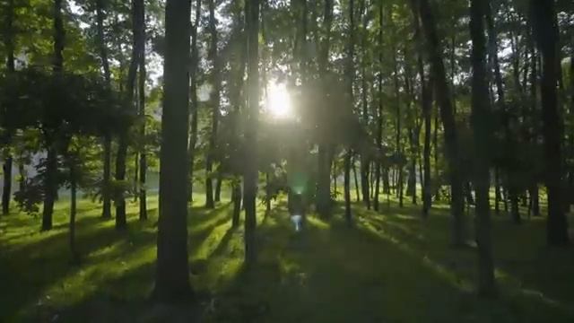 432Hz_&_741Hz_Full_Body_Detox_and_Purification_Remove_Toxins_Energy.mp4