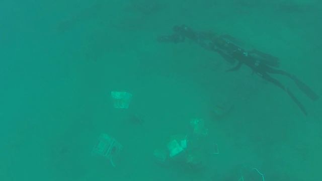 Scooter Freedive 3х Заныр с буксировщиком втроем смотреть онлайн