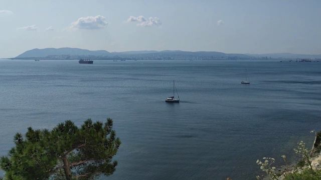 Вид на Цемесскую бухту и Новороссийск. 24 августа 2021 г. смотреть онлайн