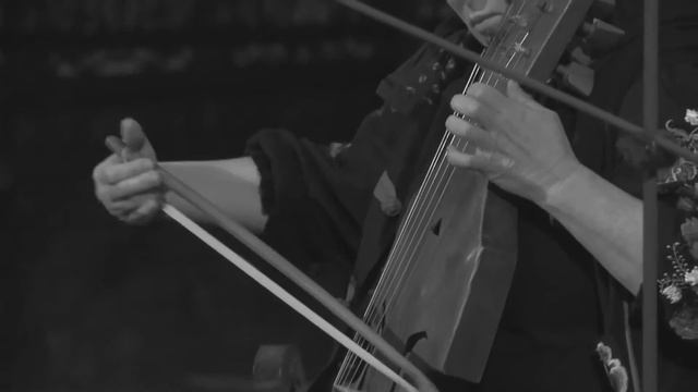 Plock Fiddle Solo / Fidel Płocka Solo - Hope