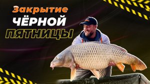 Закрытие «Чёрной пятницы»! Стрим с Петром Миненко!