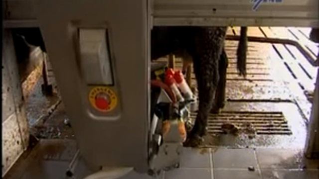 Сюжет о турнире Карпова 2013 НИКА-ТВ смотреть онлайн