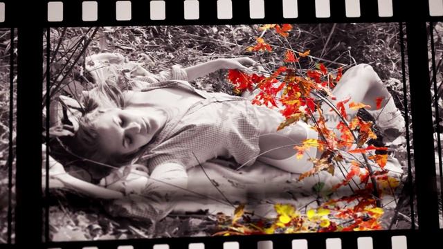 VIDEO PRESENT - ПОРТФОЛИО 12 фото смотреть онлайн
