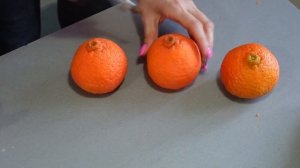 Корпусное пирожное Мандарин. шоколадный мандарин.