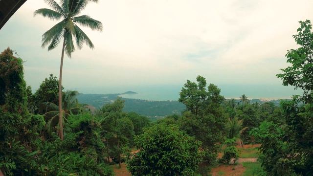 Мистический Самуи // Заброшенный ресторан в горах // Мой кусочек Самуи смотреть онлайн