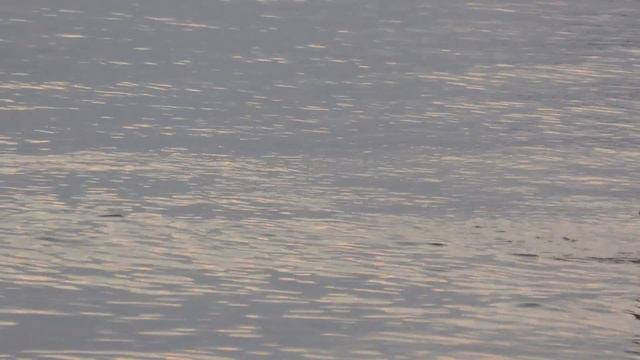 Nopparat Thara beach. Walking from the longtail to the beach смотреть онлайн