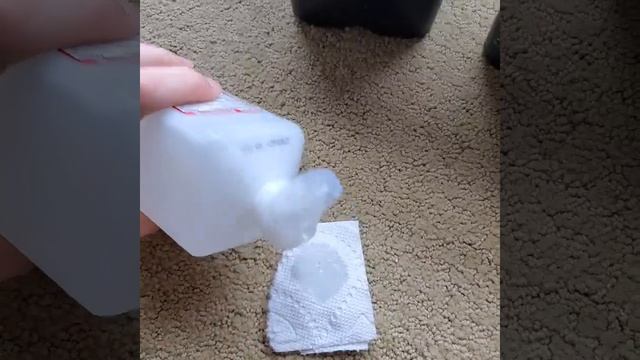 Ariocarpus Flower Pollination смотреть онлайн