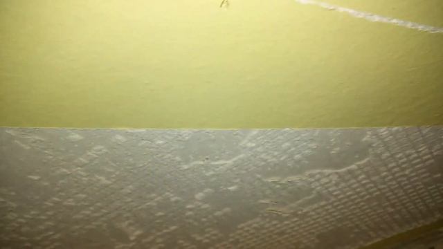 Грибок. Стена с плесенью, ремонт ч.6 смотреть онлайн