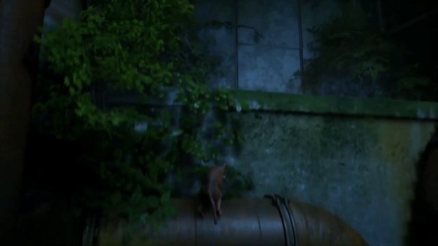 [GMV] Stray | Nightlight смотреть онлайн