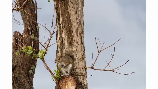 The Best Features Of Canon EOS R8: A Hands-On Review - Canon R8 Review