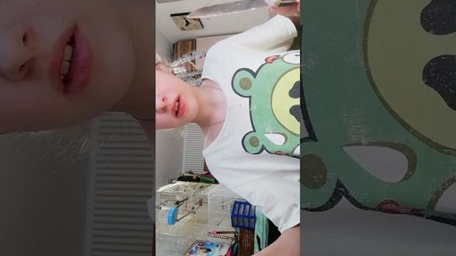 Что нужно ? кроме корма смотреть онлайн