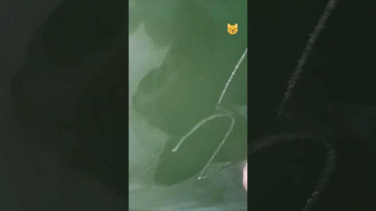 26 октября 2023 г. смотреть онлайн