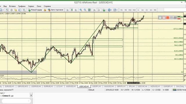 Утренний разбор валютного рынка 24.05.2016. Аналитика Альфа-Форекс смотреть онлайн