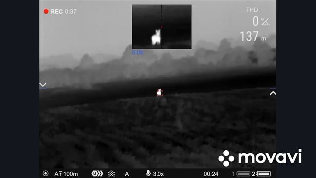 Охота на волка Hunting the wolf! смотреть онлайн