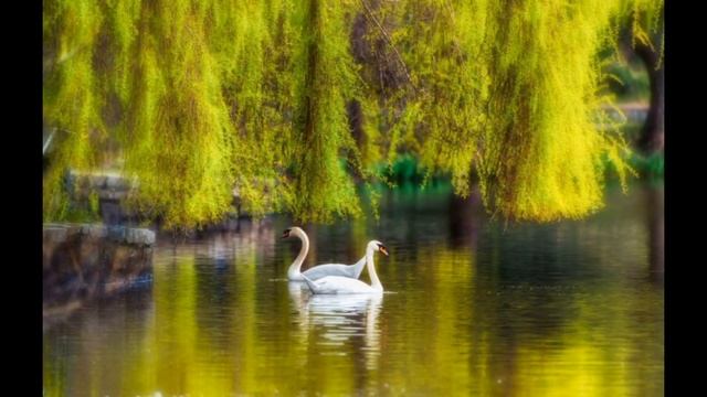 Чисты пруды И Тальков кавер смотреть онлайн