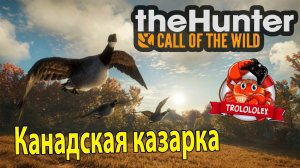 Хантер кал оф зе вайлд  Охота на гусей