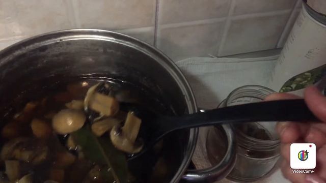 Маринуем шампиньоны смотреть онлайн