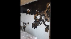 Ремонт первого этажа