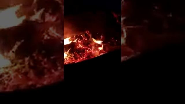 Готовим на берёзовых бруньках !