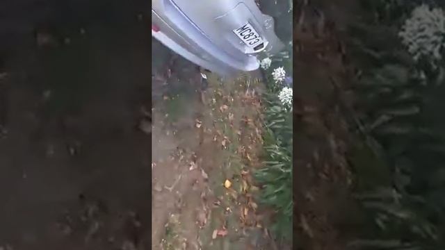 TOYOTA SPRINTER CARIB MOTOR смотреть онлайн