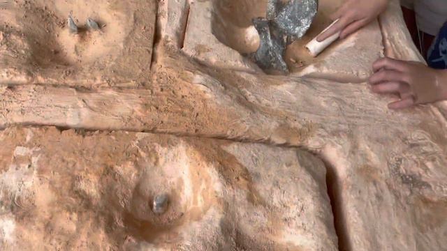 Kids go to dinosaur island find Tyrannosaurus Rex #dinosaur #kidsvideo #dinosaurs #jurrassicworld смотреть онлайн