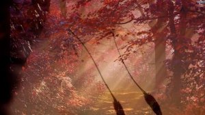 Mantra I am the Light of the Soul