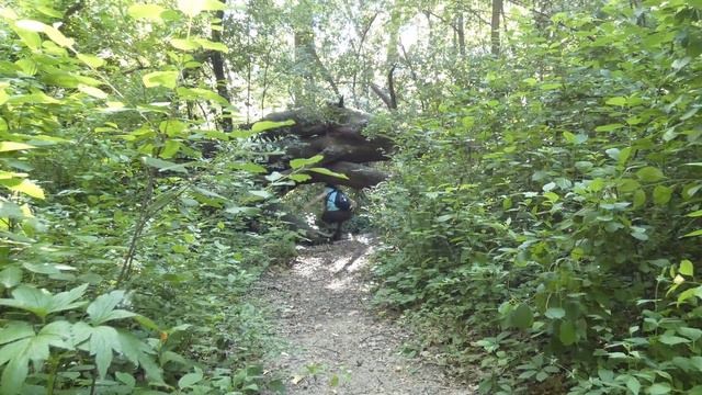 Hammock Camping by a Beautiful Pond - Hiking / Fishing / MRE Dinner смотреть онлайн