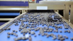 UNITEC | Линии и механизмы по обработке свежих овощей и фруктов