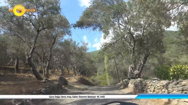 Güre Doğa Deniz Araç Safari Edremit Balıkesir 4K UHD смотреть онлайн