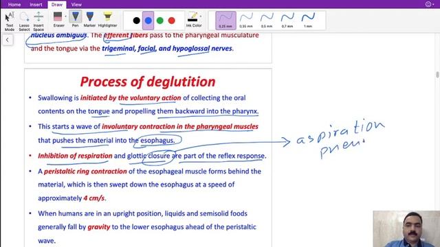 Digestive system Deglutition GIT 2 by Dr Praveen, Curacao смотреть онлайн