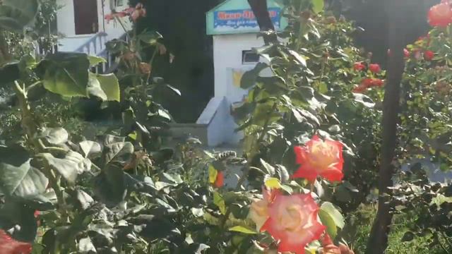 Крымская Жизнь Любимовка 23 Июля Пляж Любоморье смотреть онлайн