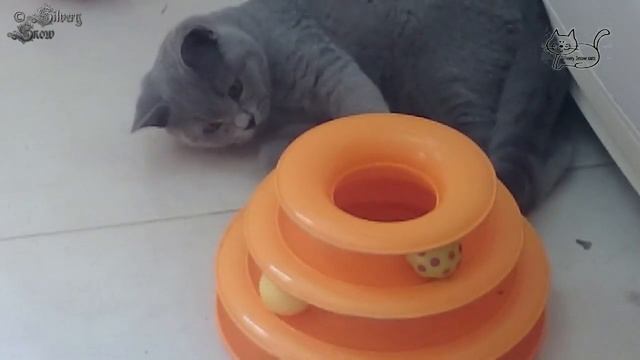 Okti британец. Игры с пирамидкой. видео на YouTube смотреть онлайн