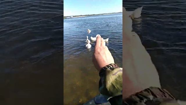 Рыбалка на маяке. смотреть онлайн