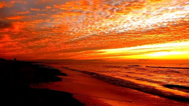 ДАРЯТ РАДОСТЬ НАМ ТВОРЕНИЯ...