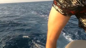 Писающий мальчик (Серик)