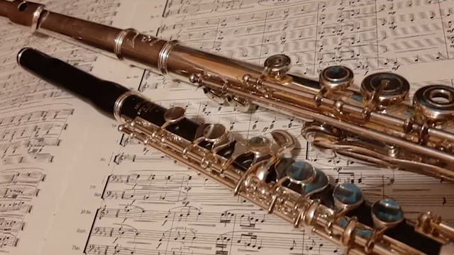 Desafinado: for Piccolo and Flute - arr. Silvia Gopalakrishnan смотреть онлайн