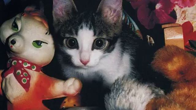 Гражданская оборона - Он увидел солнце смотреть онлайн