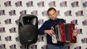 Электробаян в полной комплектации: колонка, микрофоны, беспроводник.