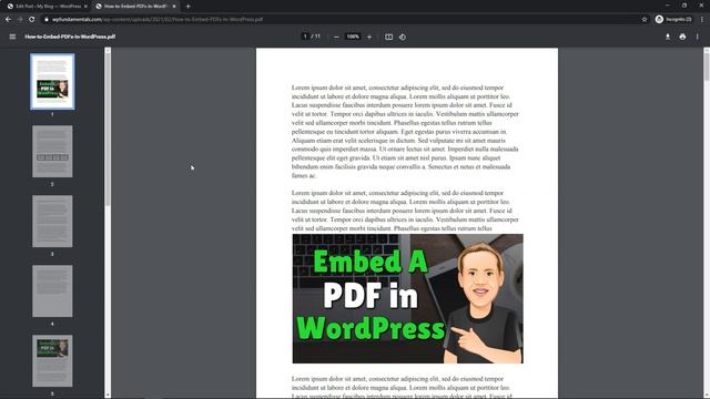 How to Embed PDF in WordPress смотреть онлайн
