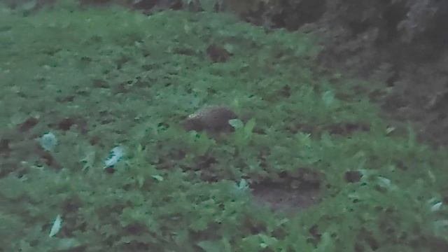 Секреты выживания. Финская свеча. смотреть онлайн